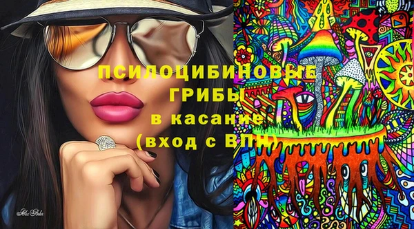 дживик Балахна