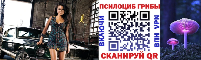 MEGA зеркало площадка телеграм Галлюциногенные грибы мицелий Кувандык